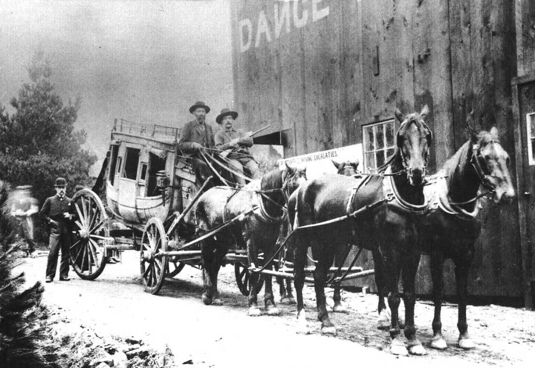 Stagecoach and team